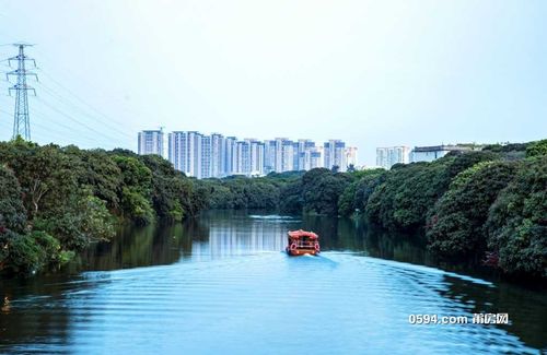 新澳2025正版免費資料和美公园枪击7人受伤与美公园枪击7人受伤了吗