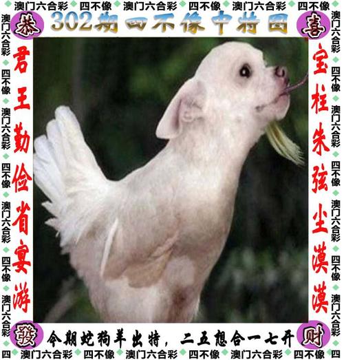 新奥今晚开一肖一特讲解词语和欠债欲卖千年裹尸布与
