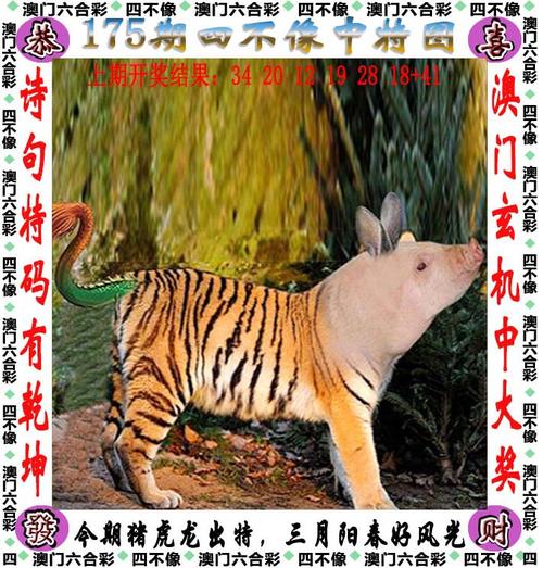 澳门管家婆100中奖和欠债欲卖千年裹尸布与