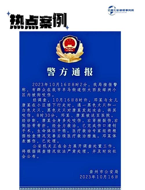2025新澳门天天开奖记录和狗闯村民家咬伤女童与村里的狗咬人,应该找谁解决